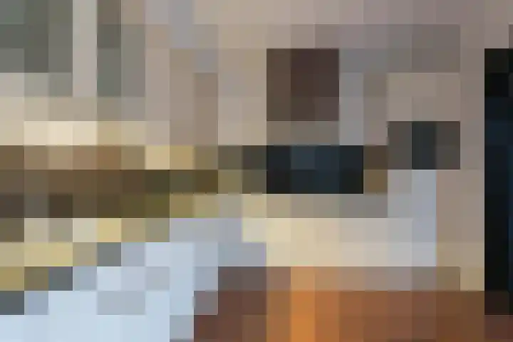Mast 3 Vollenhove thumbnail 15