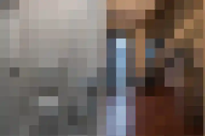 Mast 3 Vollenhove thumbnail 16