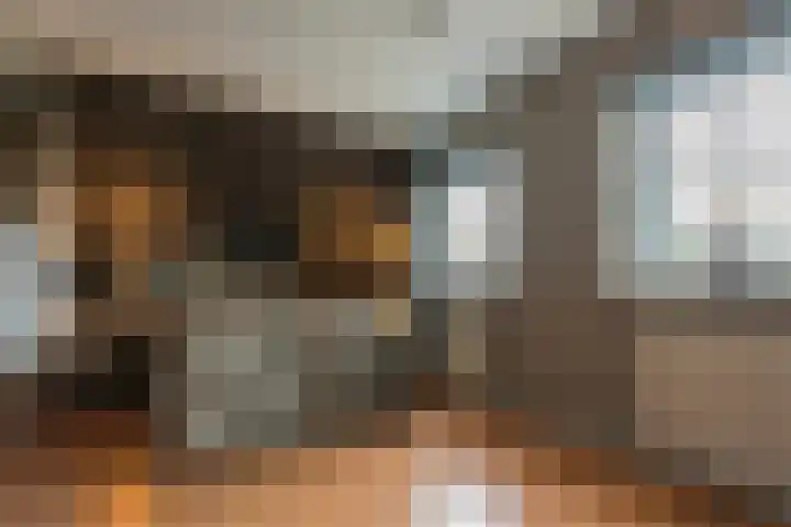 Mast 3 Vollenhove thumbnail 21