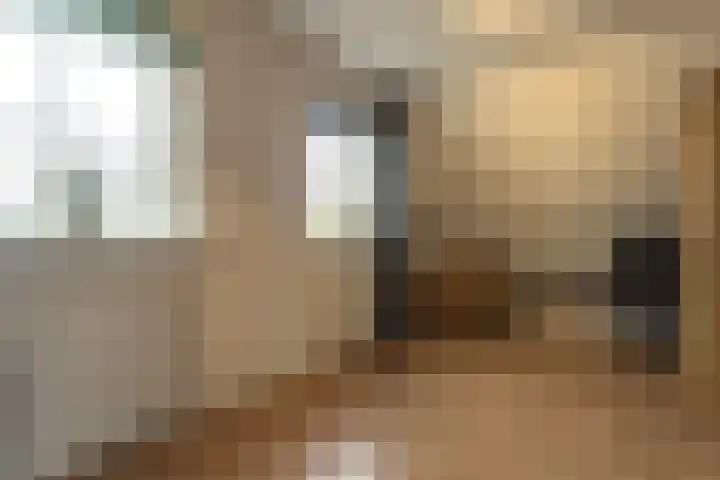 Mast 3 Vollenhove thumbnail 22