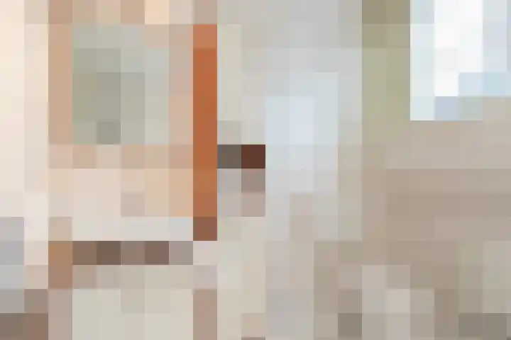Mast 3 Vollenhove thumbnail 27