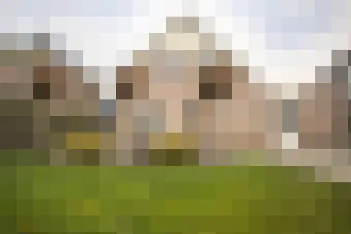 Mast 3 Vollenhove thumbnail 31
