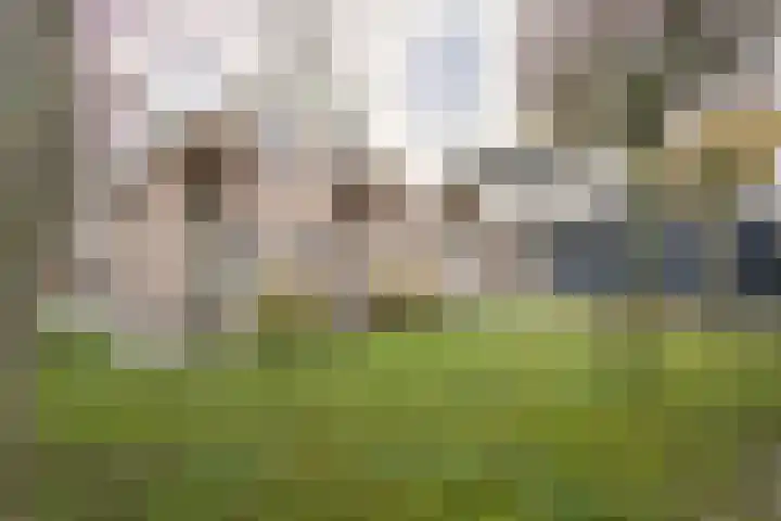 Mast 3 Vollenhove thumbnail 32