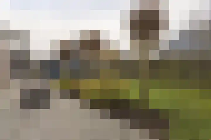 Mast 3 Vollenhove thumbnail 33
