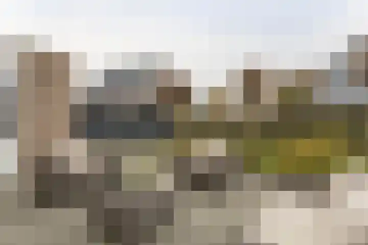 Mast 3 Vollenhove thumbnail 35