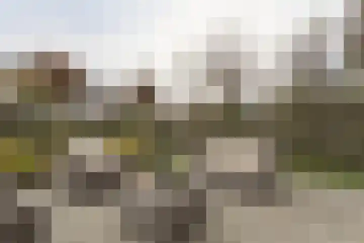 Mast 3 Vollenhove thumbnail 36