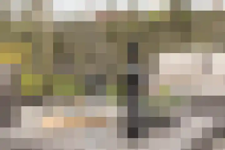 Mast 3 Vollenhove thumbnail 37