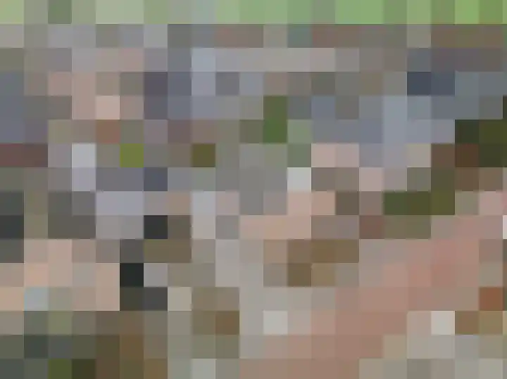 Mast 3 Vollenhove thumbnail 42