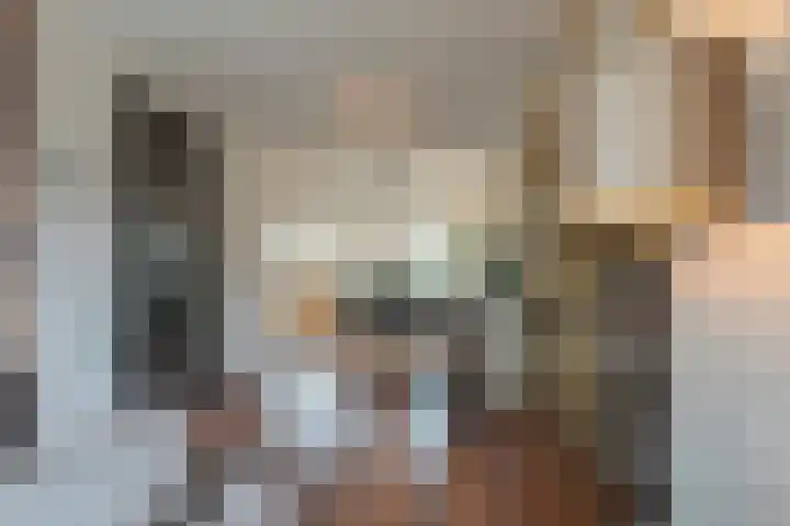 Mast 3 Vollenhove thumbnail 6