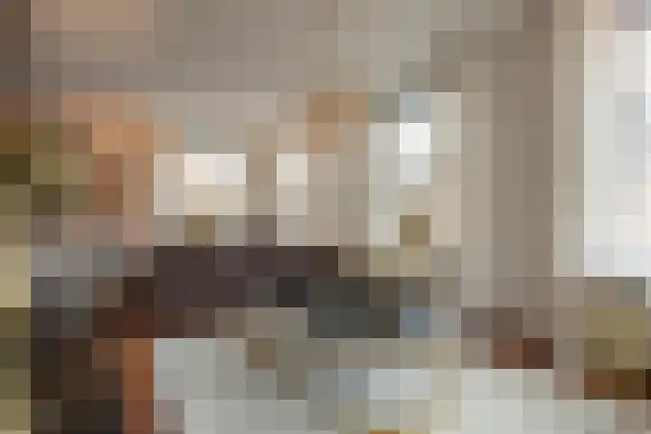 Mast 3 Vollenhove thumbnail 8