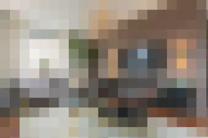 Mast 3 Vollenhove thumbnail 9