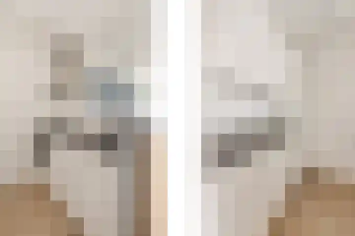 Mast 4 c Huissen thumbnail 10