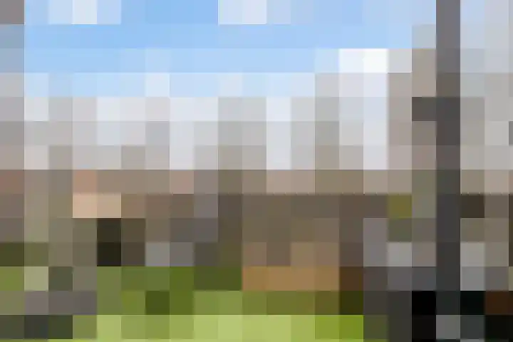 Mast 4 c Huissen thumbnail 7
