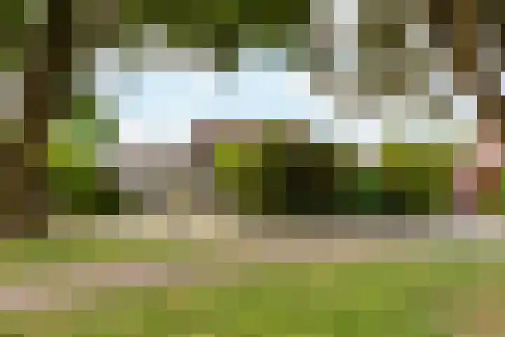 Mast 5 dans Wijk bij Duurstede