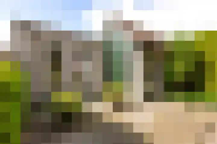 Mast 5 Wijk bij Duurstede foto 2