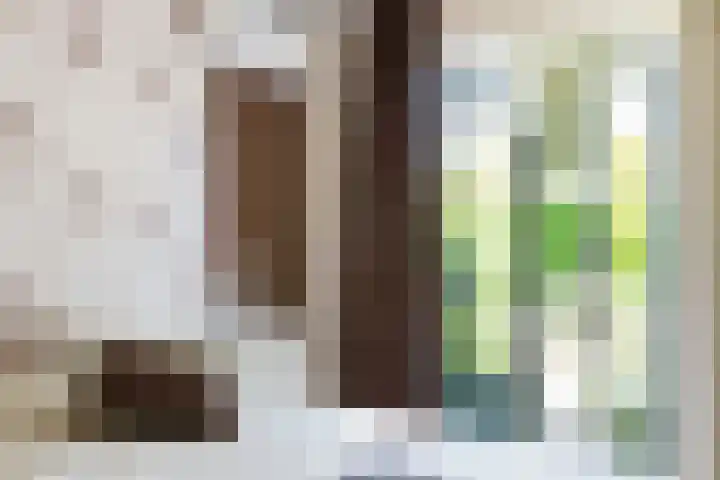 Mast 5 Wijk bij Duurstede thumbnail 21