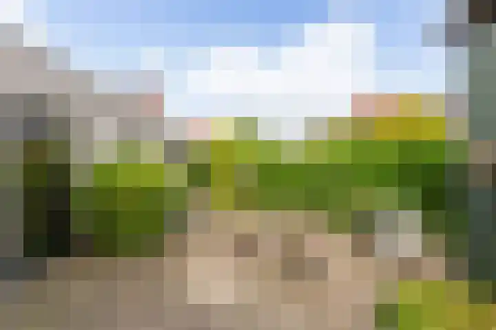 Mast 5 Wijk bij Duurstede thumbnail 32