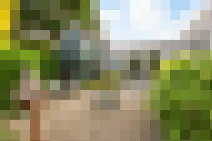Mast 5 Wijk bij Duurstede thumbnail 35