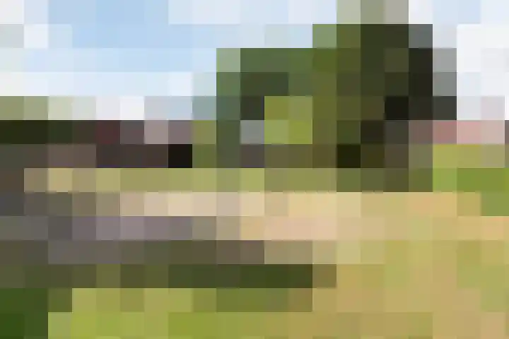 Mast 5 Wijk bij Duurstede thumbnail 40