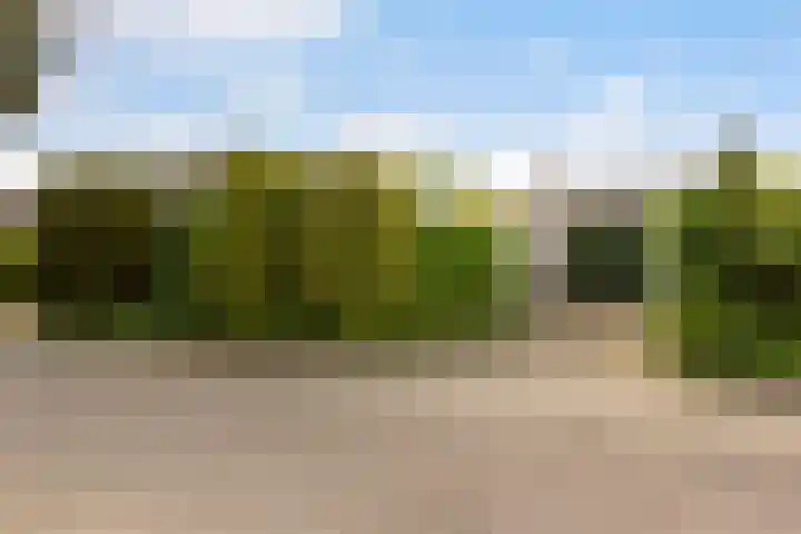 Mast 5 Wijk bij Duurstede thumbnail 5