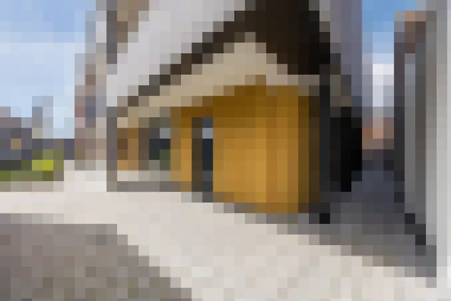 Mastboomhof 15 Oud Gastel thumbnail 11