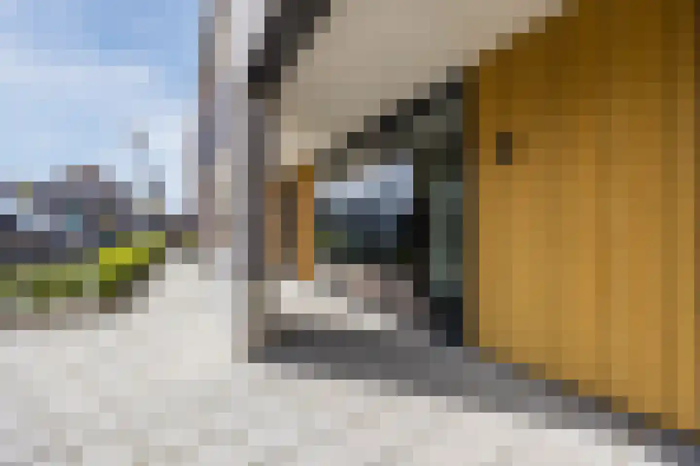Mastboomhof 15 Oud Gastel thumbnail 12