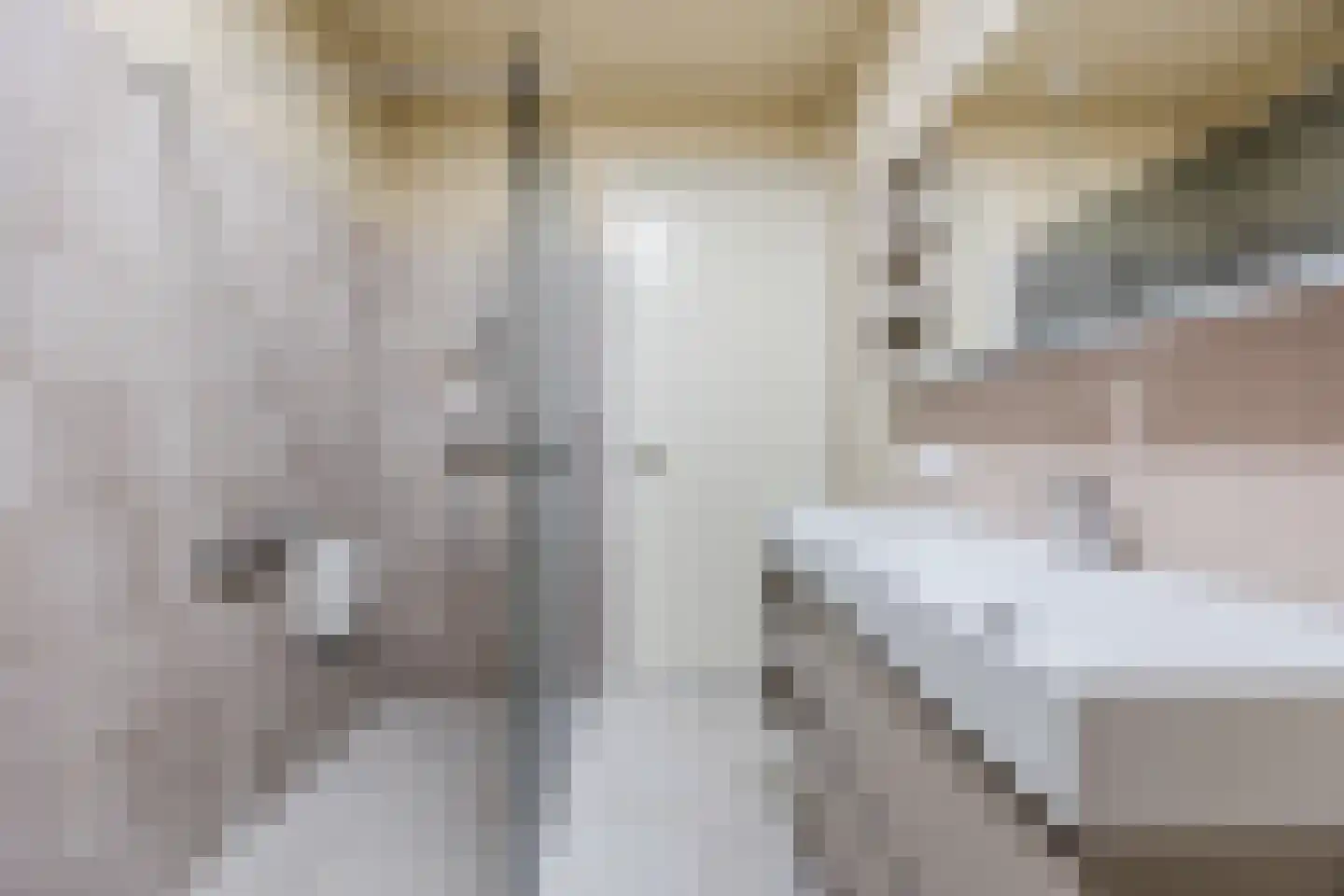 Mastboomhof 15 Oud Gastel thumbnail 46