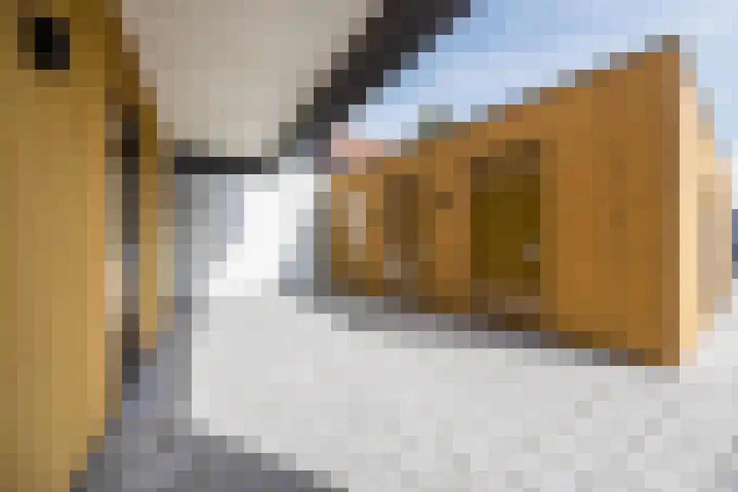 Mastboomhof 15 Oud Gastel thumbnail 56
