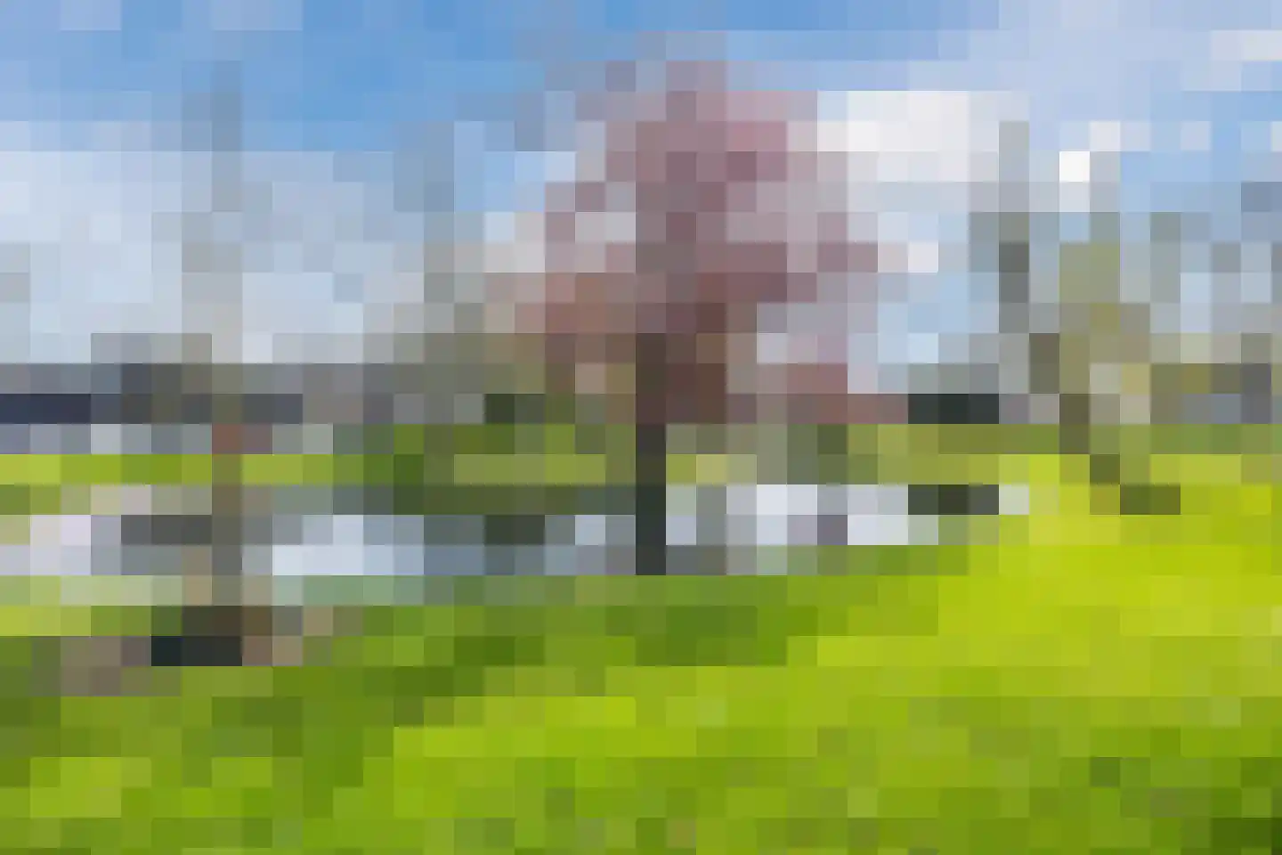 Mastboomhof 15 Oud Gastel thumbnail 65