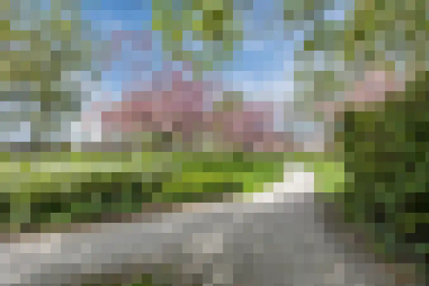 Mastboomhof 15 Oud Gastel thumbnail 66