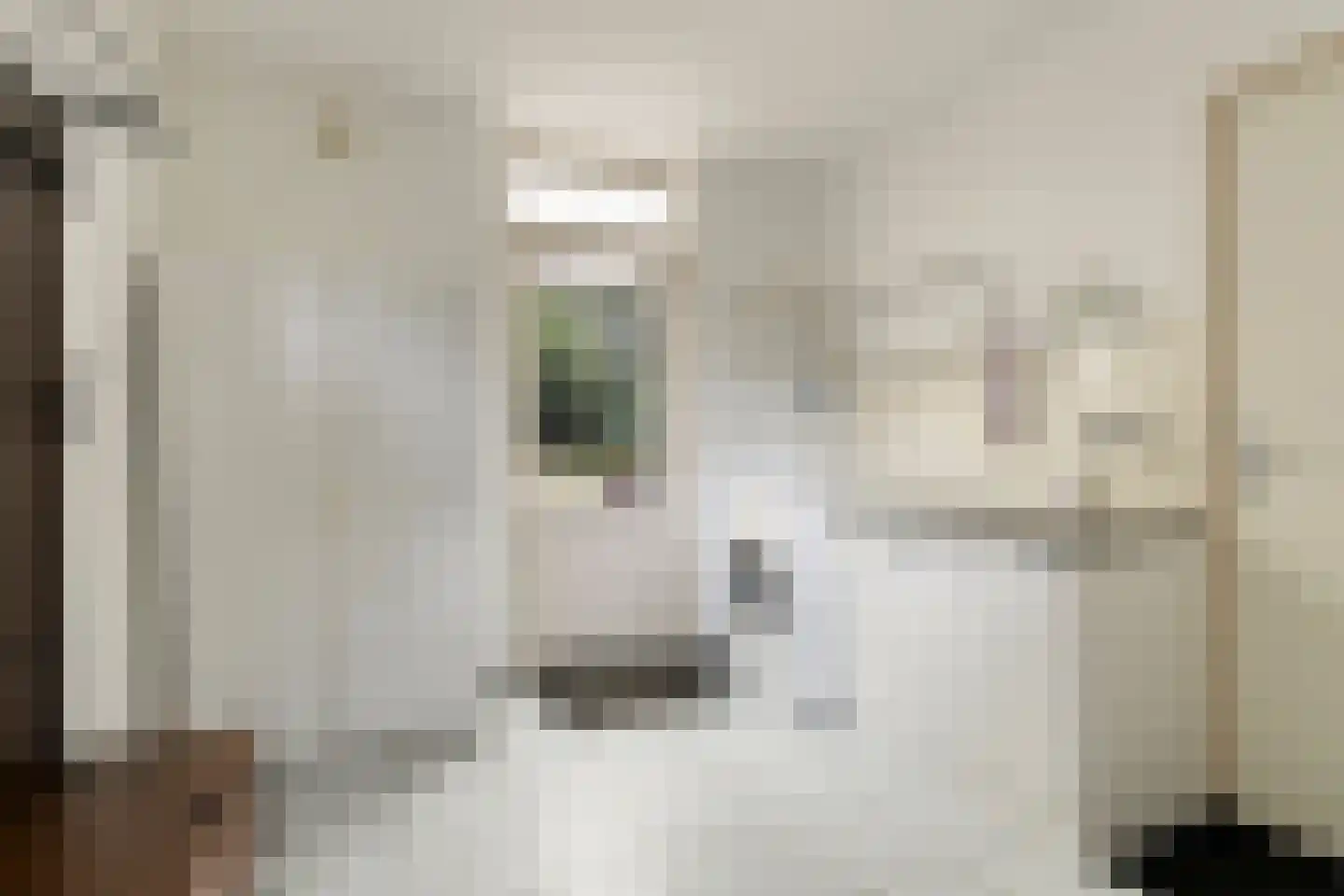 Mastbos 1 Venray thumbnail 15
