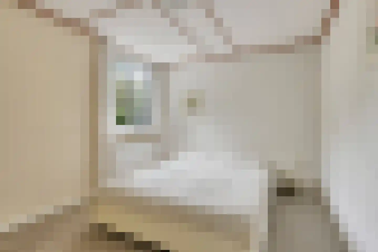 Mastbos 1 Venray thumbnail 17