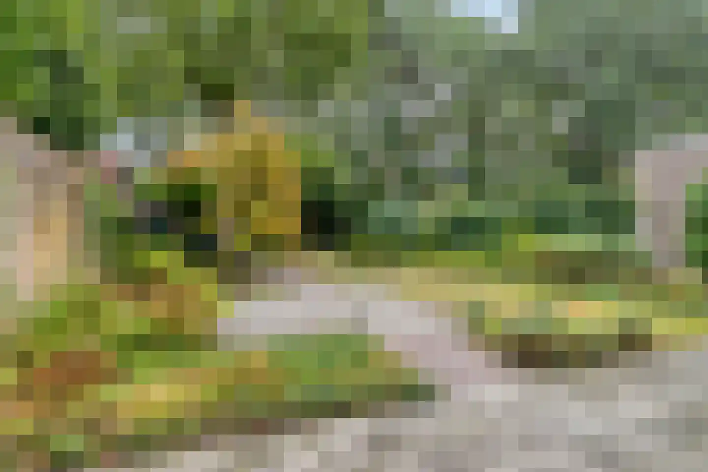 Mastbos 1 Venray thumbnail 27