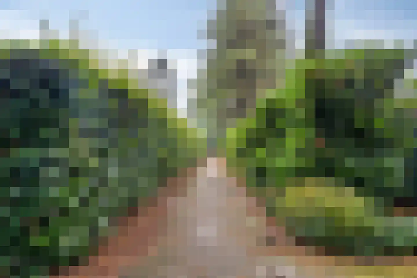 Mastbos 1 Venray thumbnail 31