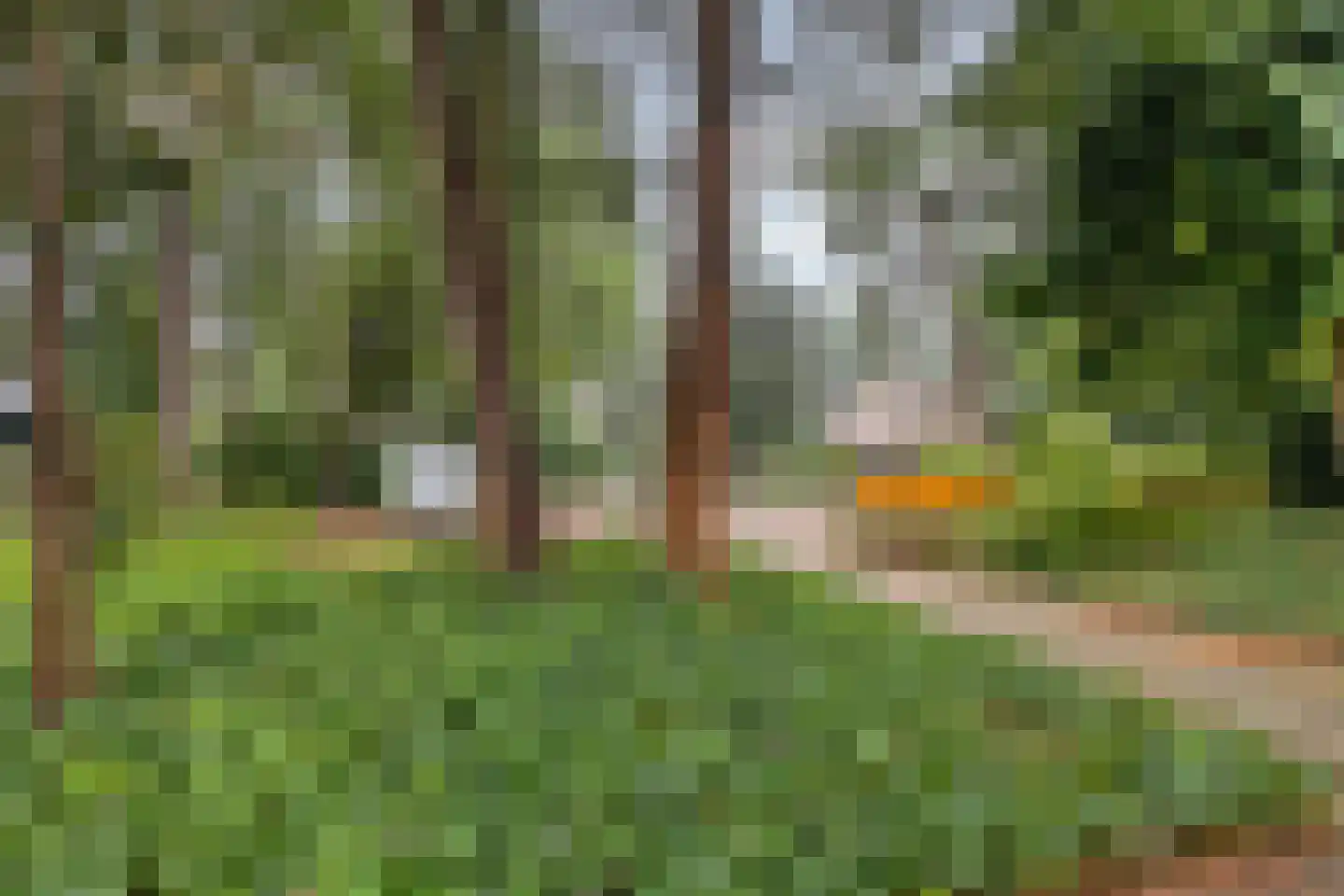 Mastbos 1 Venray thumbnail 32