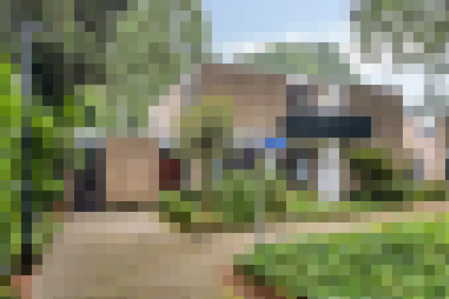 Mastbos 1 Venray thumbnail 33