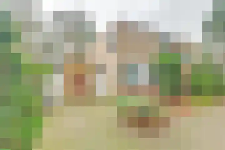 Mastbos 10 in Venray