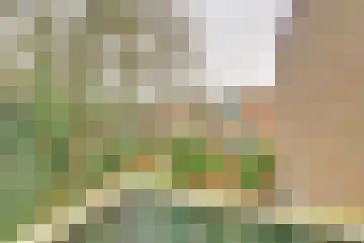 Mastbos 10 Venray thumbnail 30