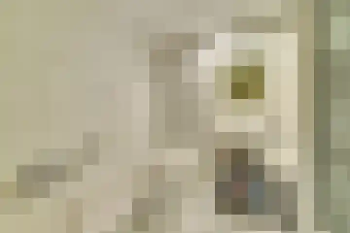 Mastbos 10 Venray thumbnail 31