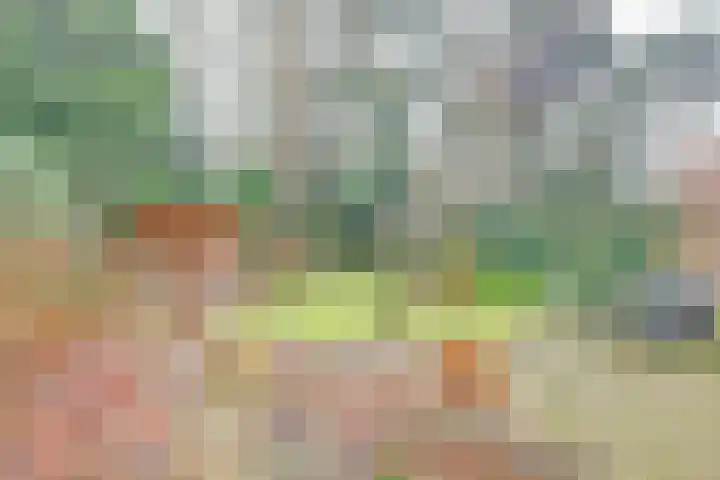 Mastbos 10 Venray thumbnail 33