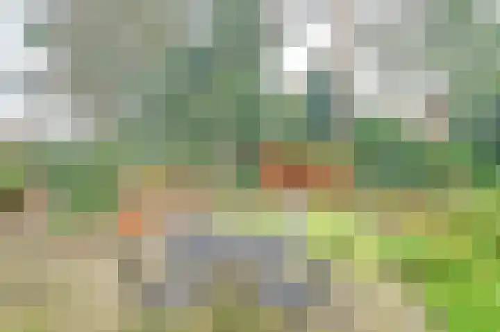 Mastbos 10 Venray thumbnail 34