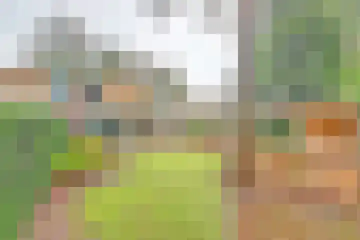 Mastbos 10 Venray thumbnail 36