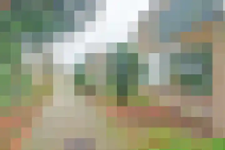 Mastbos 10 Venray thumbnail 5