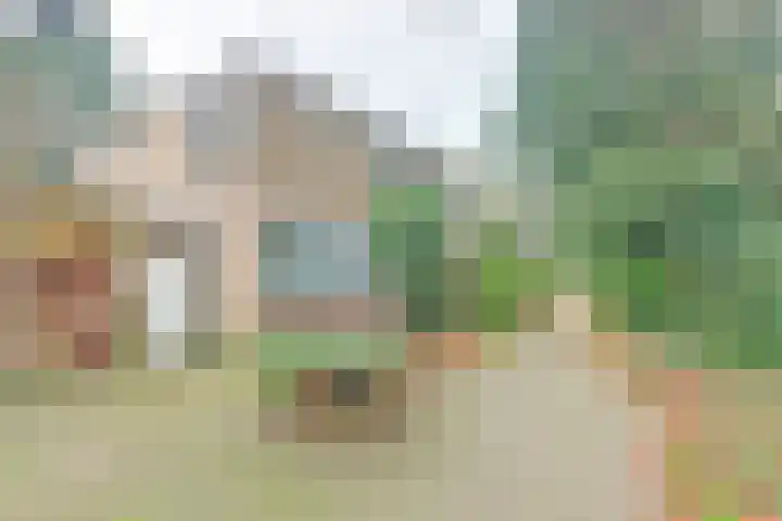 Mastbos 10 Venray thumbnail 6