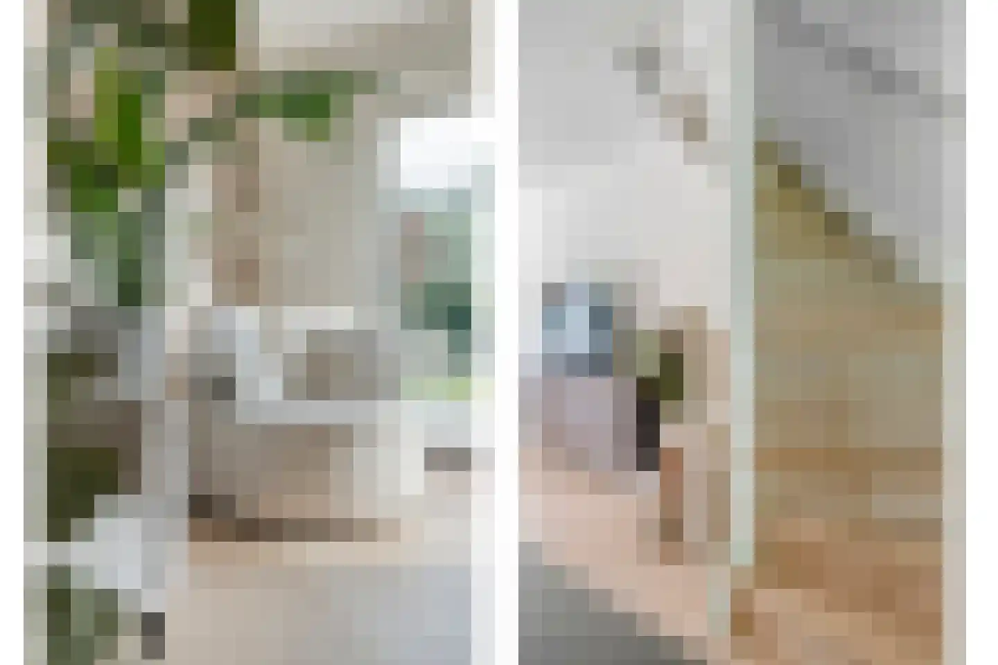 Mastbos 110 Enschede thumbnail 10