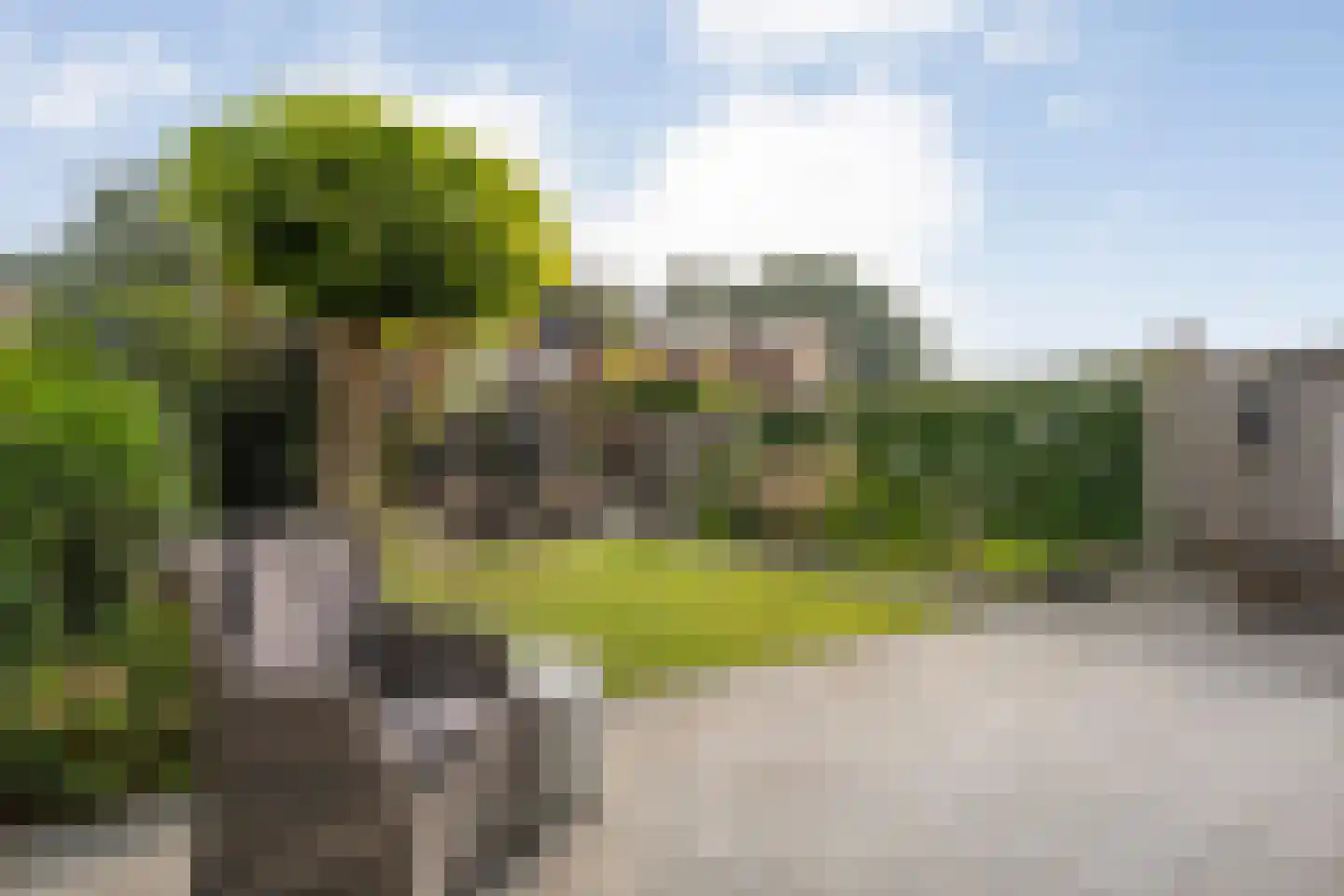 Mastbos 110 Enschede thumbnail 32