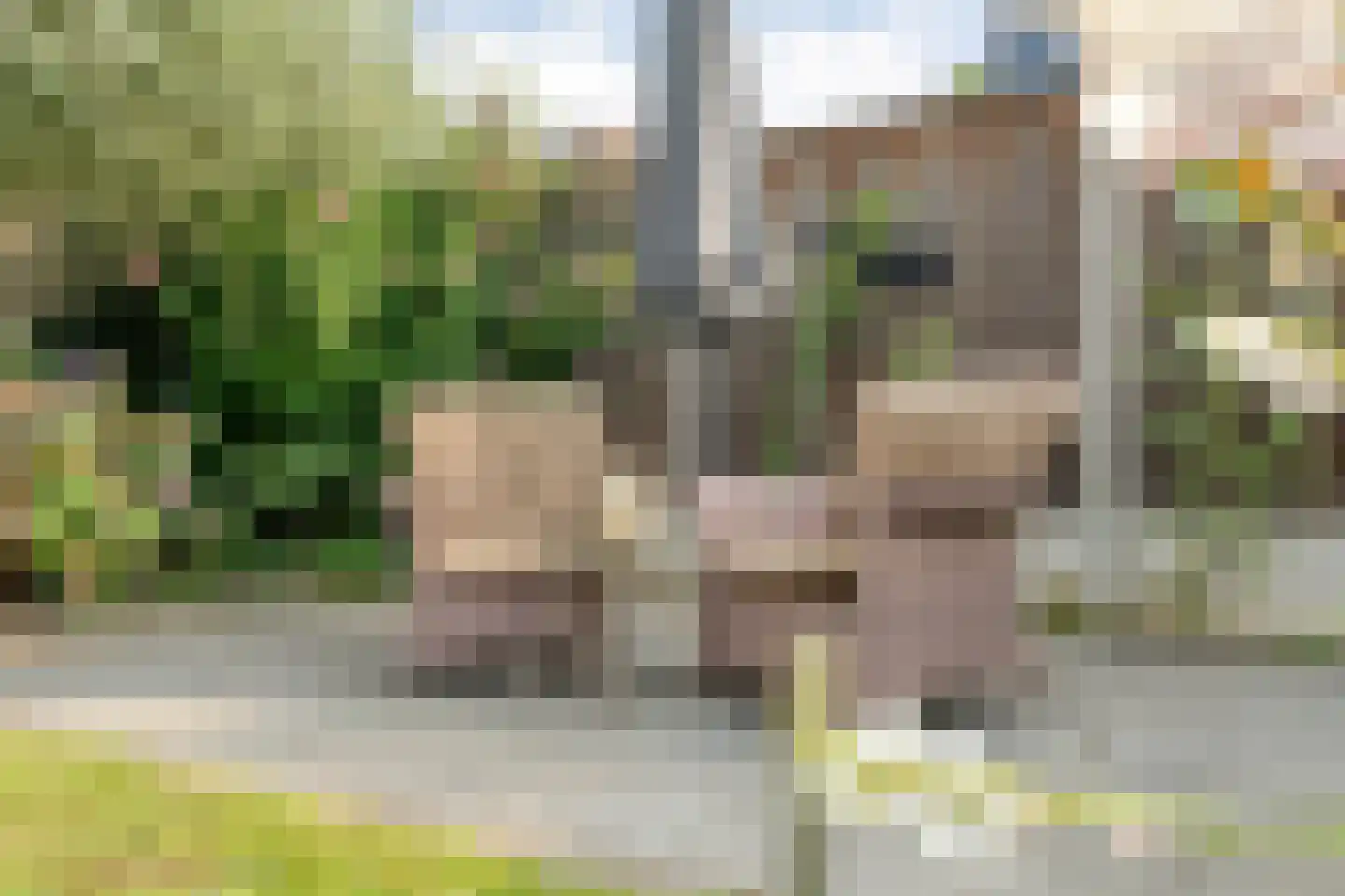 Mastbos 110 Enschede thumbnail 35