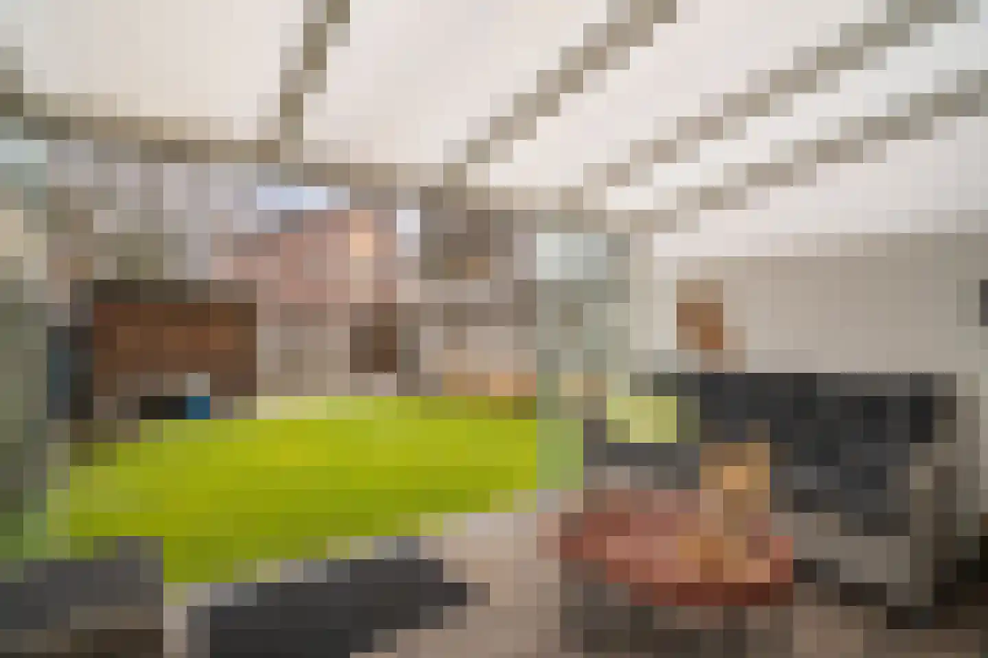 Mastbos 116 Enschede thumbnail 25
