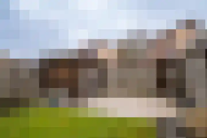 Mastbos 116 Enschede thumbnail 28