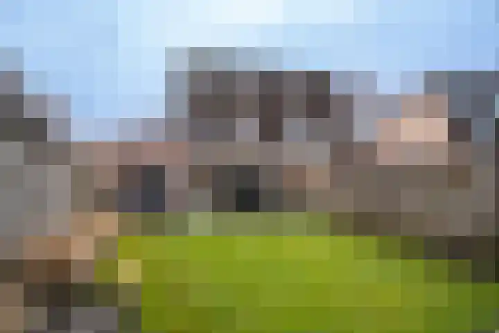Mastbos 116 Enschede thumbnail 29